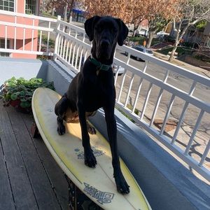 Meet your Posher, Johnny